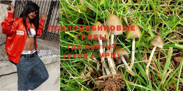 мдпв Осинники