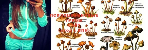 марки lsd Покров