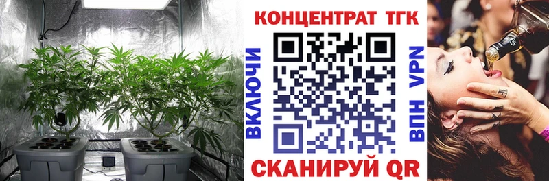 маркетплейс Telegram  OMG ТОР  Малаховка  Дистиллят ТГК вейп с тгк 